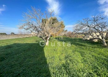 Foto 5 - Agriturismo Strada Per Restinco, Brindisi - foto 5