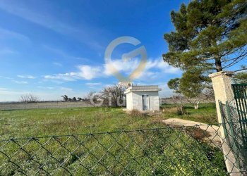 Foto 6 - Agriturismo Strada Per Restinco, Brindisi - foto 6