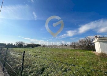 Foto 7 - Agriturismo Strada Per Restinco, Brindisi - foto 7