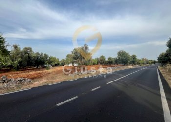 Foto 3 - Baita Strada Provinciale 28
 
snc, Ceglie Messapica - foto 3