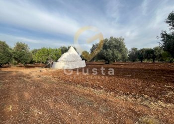 Foto 4 - Baita Strada Provinciale 28
 
snc, Ceglie Messapica - foto 4