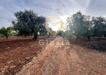 Foto 5 - Baita Strada Provinciale 28
 
snc, Ceglie Messapica - foto 5