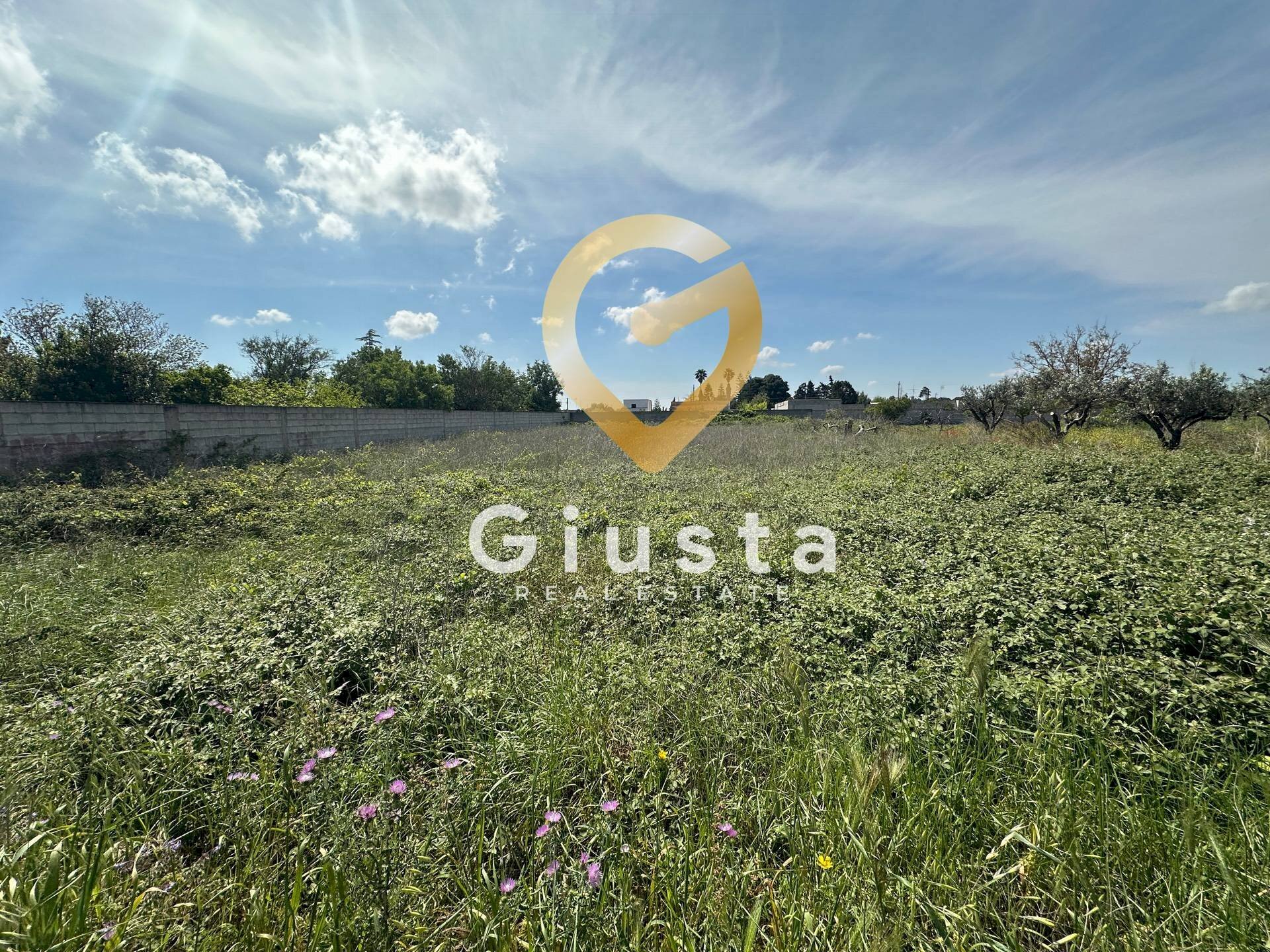 Foto 2 - Terreno agricolo Via Stazione, Brindisi - foto 2