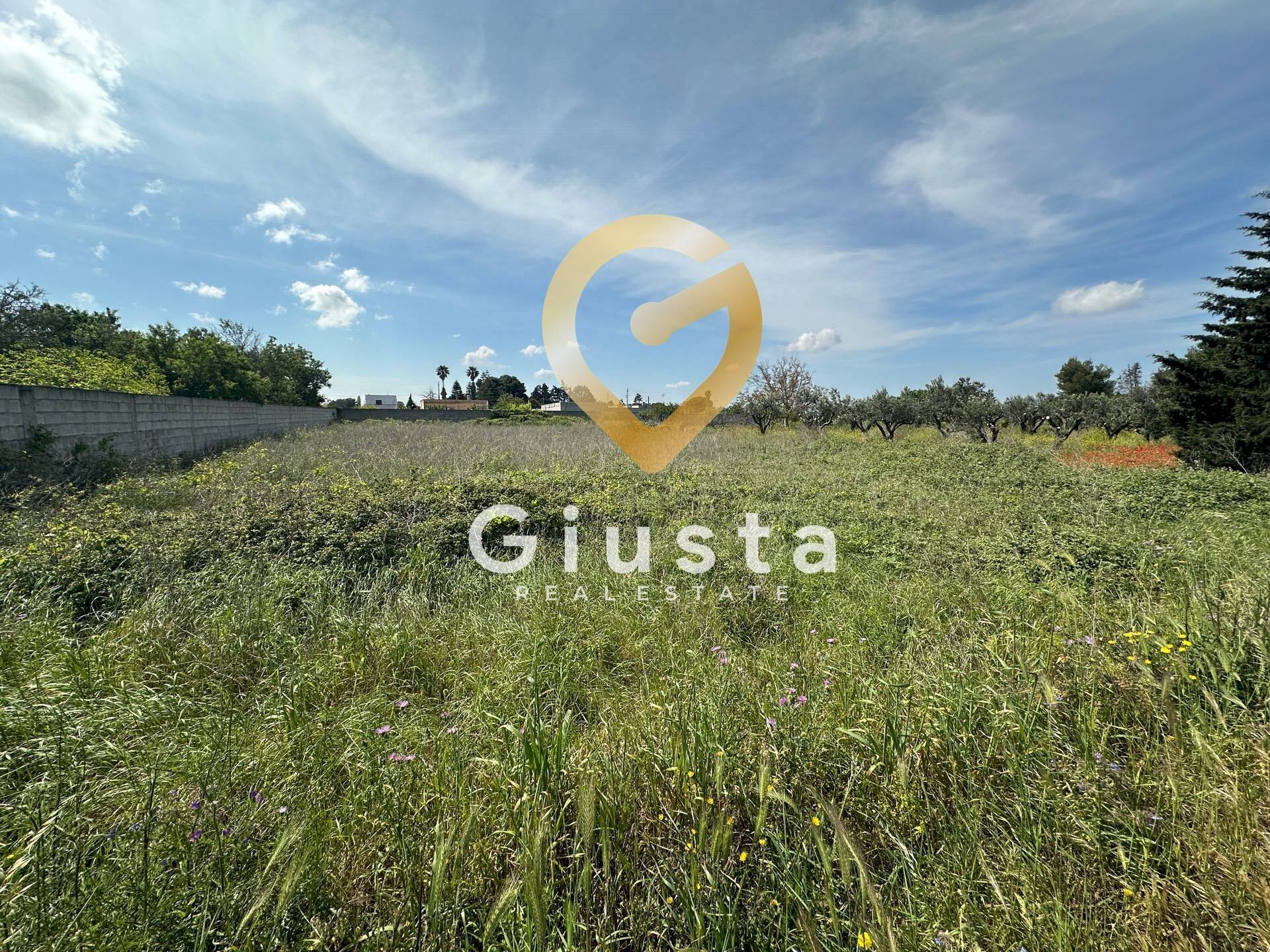 Foto 3 - Terreno agricolo Via Stazione, Brindisi - foto 3