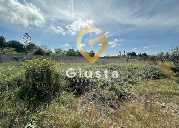 Foto 1 - Terreno agricolo Via Stazione, Brindisi - foto 1