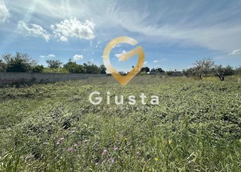 Foto 2 - Terreno agricolo Via Stazione, Brindisi - foto 2