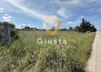 Foto 4 - Terreno agricolo Via Stazione, Brindisi - foto 4