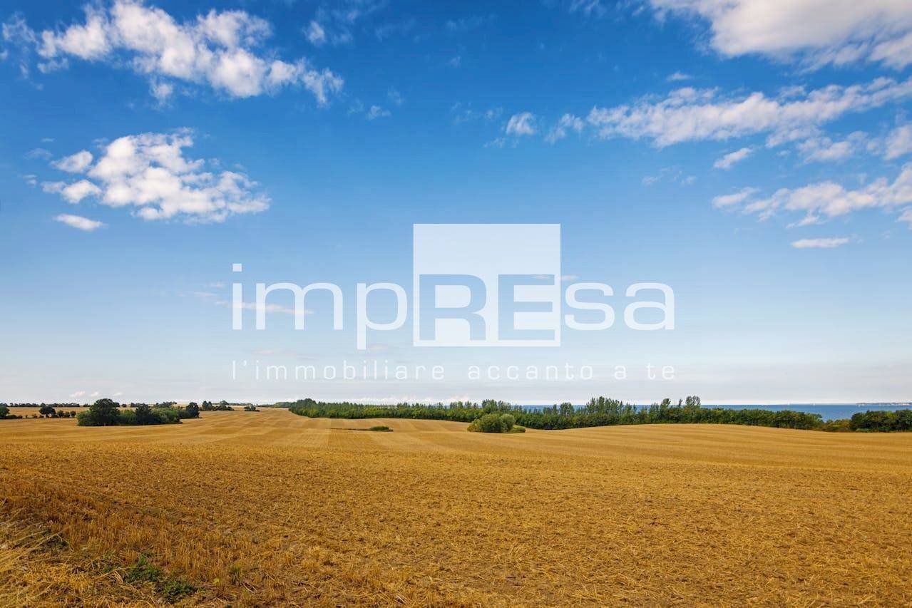 Foto 1 - Terreno agricolo via murazzetta
 
2, Eraclea - foto 1