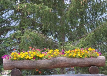 Foto 28 - Appartamento Borgata Grangesises, Cesana Torinese - foto 28