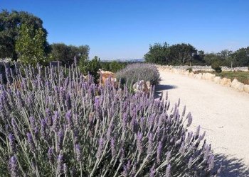 Foto 12 - Villa contrada marinelli, Cisternino - foto 12