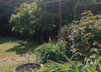 Foto 5 - Villa Via 1 Maggio
 
50, Follo - foto 5