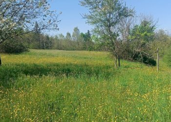 Foto 6 - Rustico Via I Maggio, Aulla - foto 6