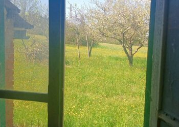 Foto 9 - Rustico Via I Maggio, Aulla - foto 9