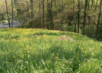 Foto 10 - Rustico Via I Maggio, Aulla - foto 10