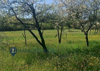 Foto 15 - Rustico Via I Maggio, Aulla - foto 15