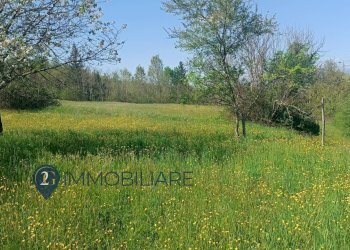 Foto 16 - Rustico Via I Maggio, Aulla - foto 16