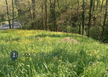 Foto 22 - Rustico Via I Maggio, Aulla - foto 22