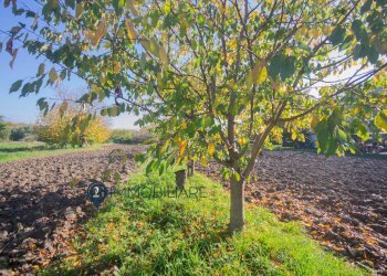 Foto 26 - Appartamento Loc. Senato
 
30, Lerici - foto 26