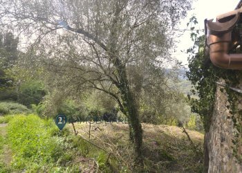 Foto 4 - Casa indipendente Via Usurana
 
1, Calice al Cornoviglio - foto 4