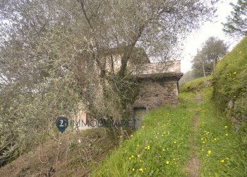 Foto 10 - Casa indipendente Via Usurana
 
1, Calice al Cornoviglio - foto 10