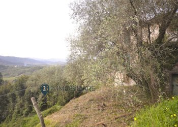 Foto 12 - Casa indipendente Via Usurana
 
1, Calice al Cornoviglio - foto 12