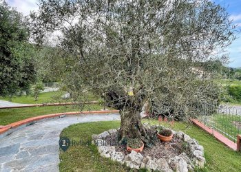 Foto 19 - Villa Via Trompedo Sud
 
40, Brugnato - foto 19