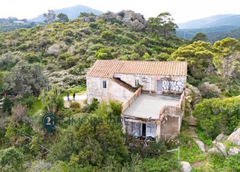 Foto 3 - Villa Via San Leonardo, Capraia Isola - foto 3