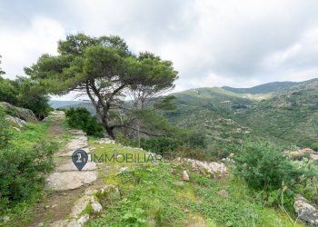 Foto 4 - Villa Via San Leonardo, Capraia Isola - foto 4