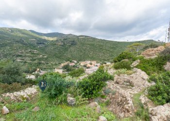 Foto 13 - Villa Via San Leonardo, Capraia Isola - foto 13