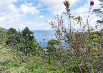 Foto 14 - Villa Via San Leonardo, Capraia Isola - foto 14