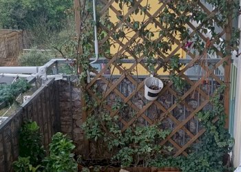 Foto 10 - Appartamento Via Aldo Moro, Follo - foto 10