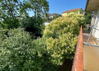 Foto 32 - Rustico Via Roma, Castel di Lama - foto 32