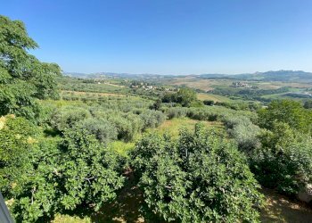 Foto 41 - Rustico Via Roma, Castel di Lama - foto 41