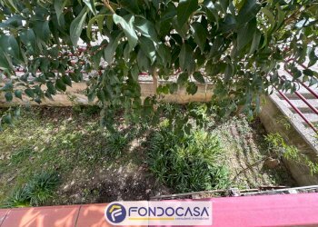 Foto 31 - Appartamento Via Don Milani, Offida - foto 31