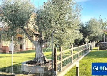 Foto 21 - Villa Via Circonvallazione
 
10, Grosseto - foto 21