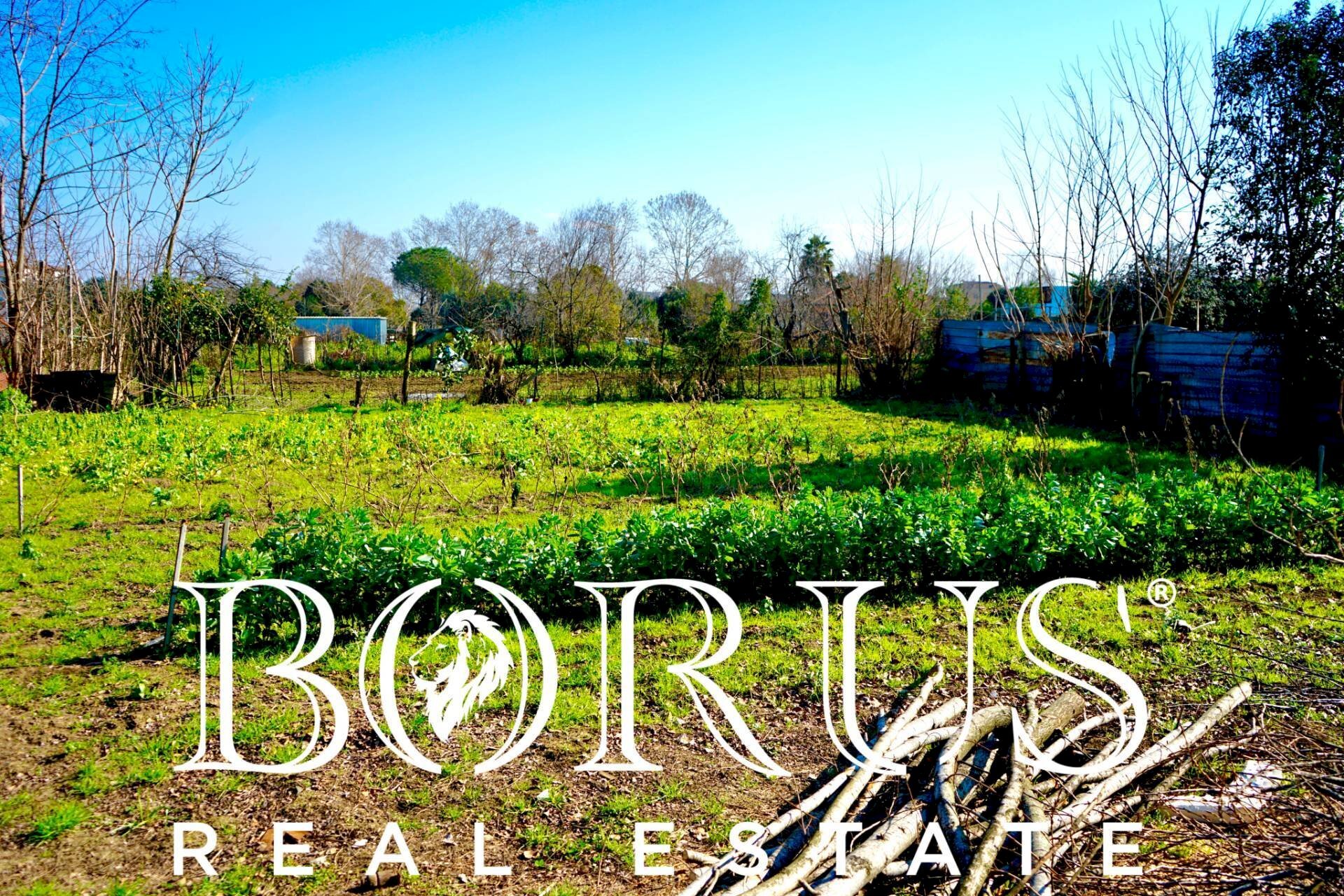 Foto 1 - Terreno agricolo Via Enrico De Nicola, Trentola Ducenta - foto 1