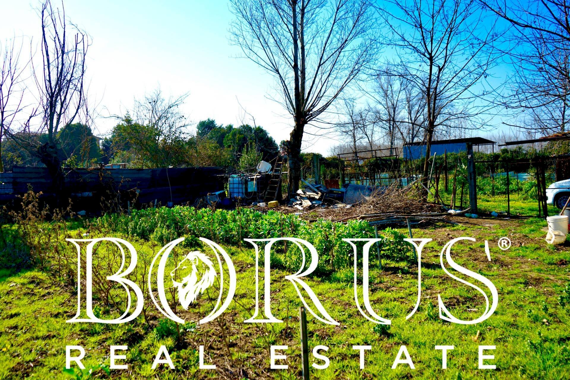 Foto 3 - Terreno agricolo Via Enrico De Nicola, Trentola Ducenta - foto 3