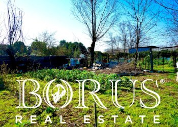 Foto 3 - Terreno agricolo Via Enrico De Nicola, Trentola Ducenta - foto 3