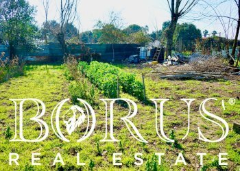 Foto 4 - Terreno agricolo Via Enrico De Nicola, Trentola Ducenta - foto 4