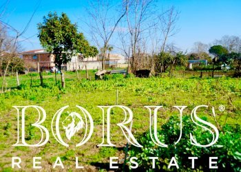 Foto 9 - Terreno agricolo Via Enrico De Nicola, Trentola Ducenta - foto 9