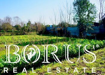 Foto 10 - Terreno agricolo Via Enrico De Nicola, Trentola Ducenta - foto 10