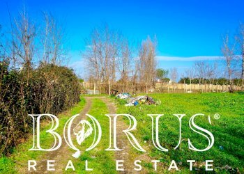 Foto 11 - Terreno agricolo Via Enrico De Nicola, Trentola Ducenta - foto 11