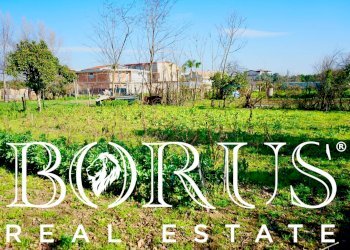 Foto 12 - Terreno agricolo Via Enrico De Nicola, Trentola Ducenta - foto 12