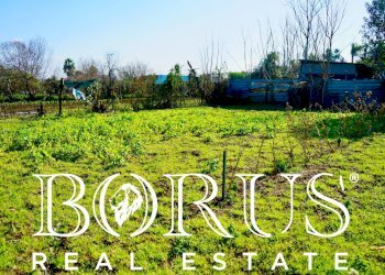 Foto 13 - Terreno agricolo Via Enrico De Nicola, Trentola Ducenta - foto 13