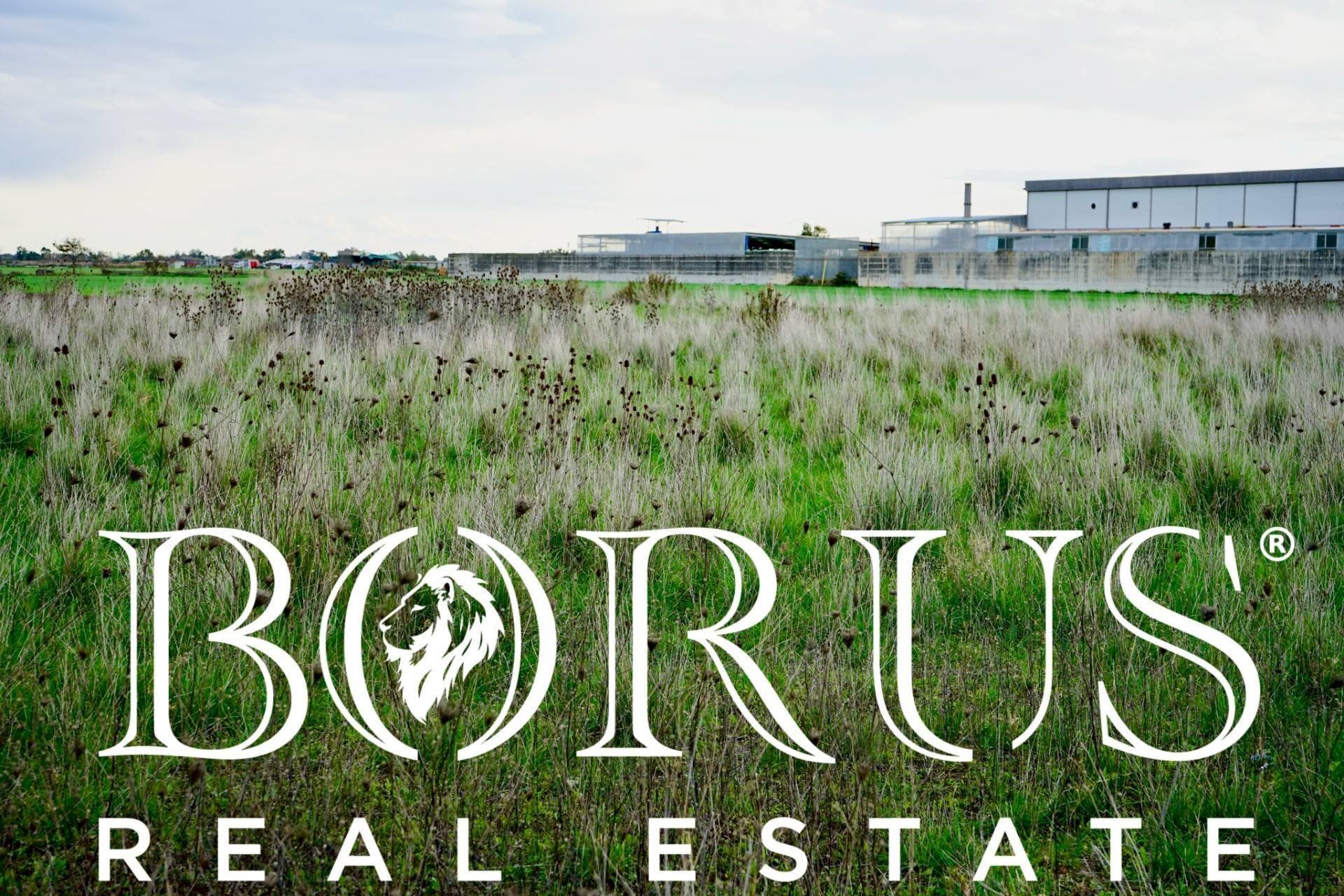 Foto 1 - Terreno agricolo Castel Volturno - foto 1