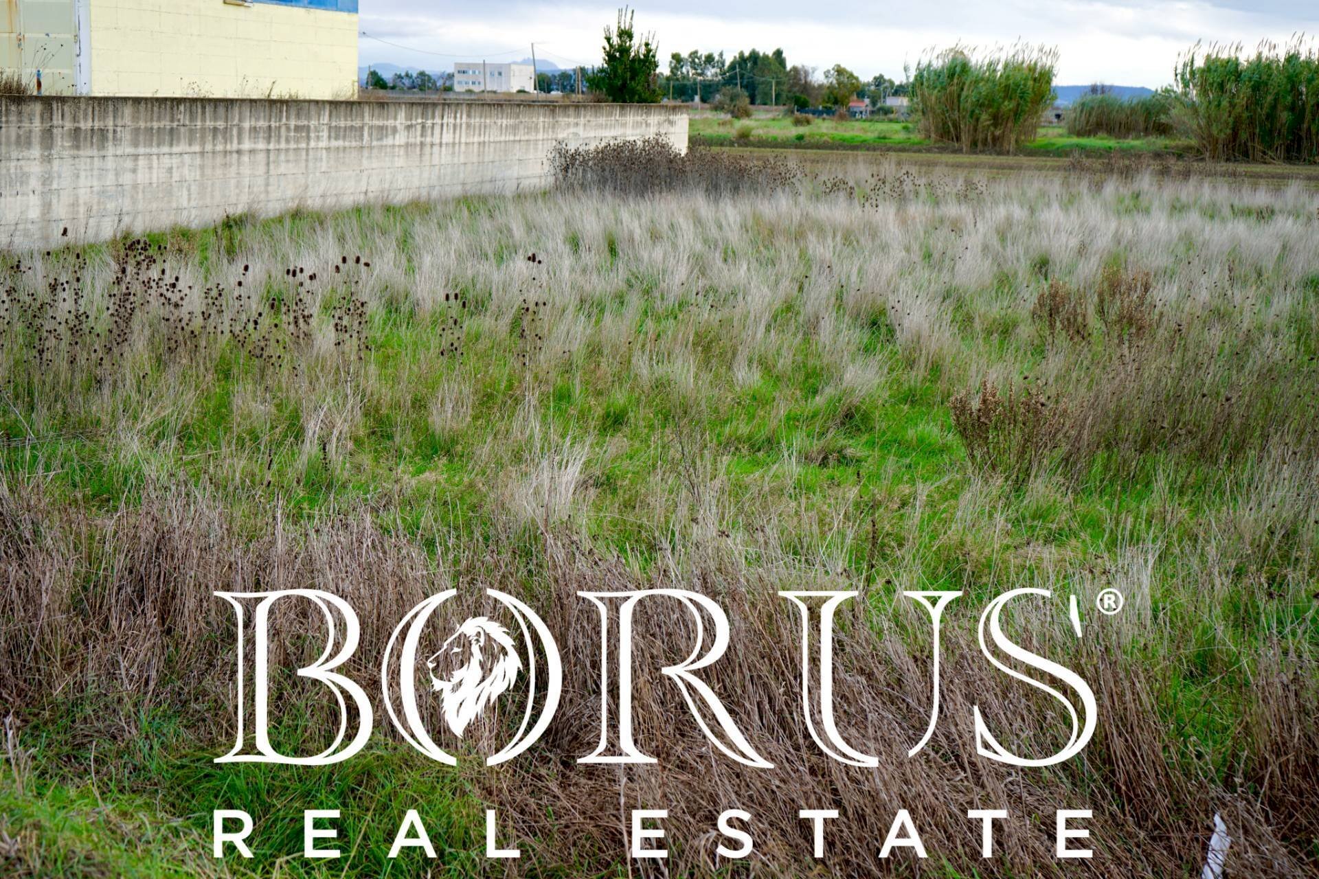 Foto 2 - Terreno agricolo Castel Volturno - foto 2