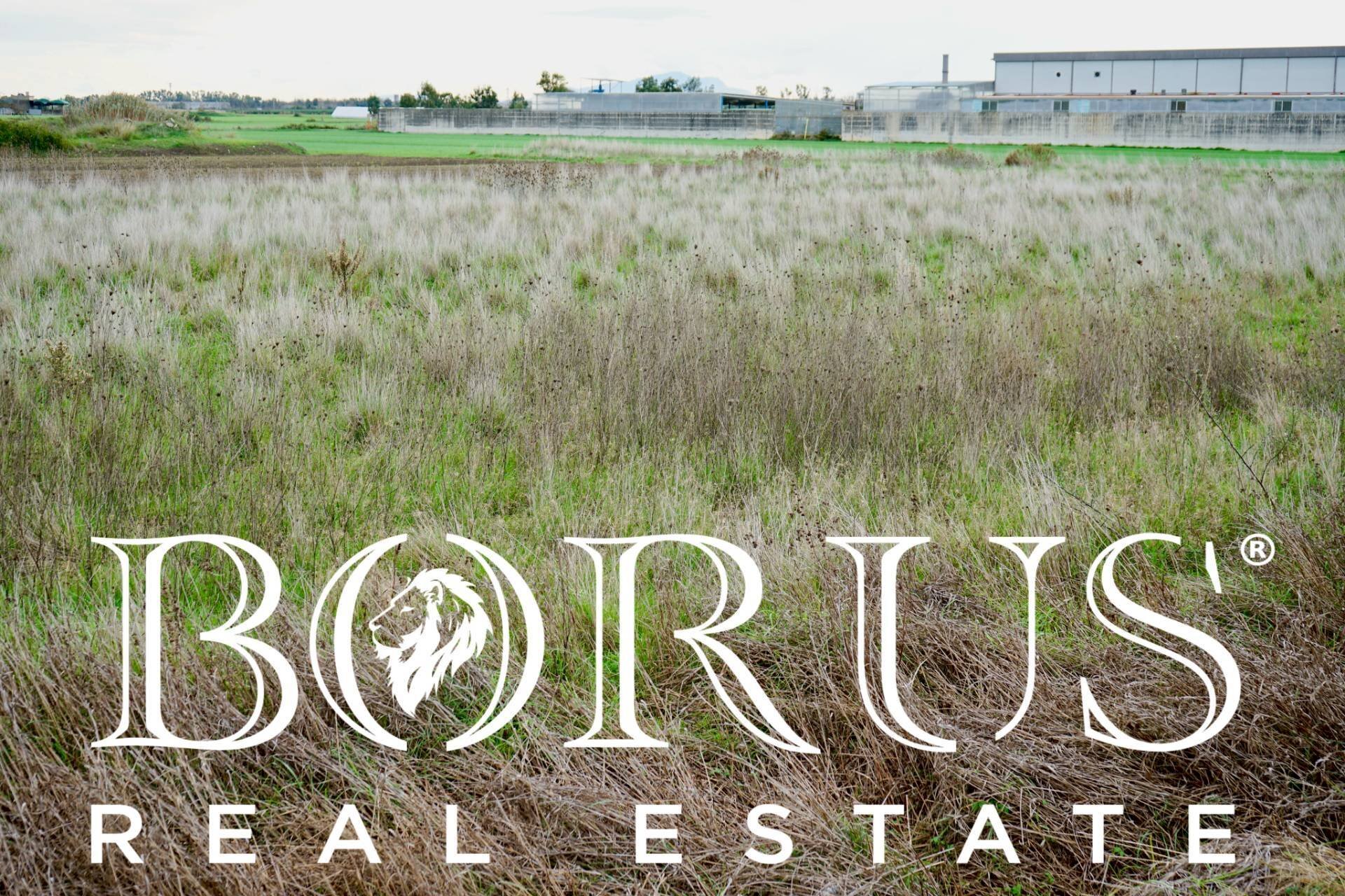 Foto 3 - Terreno agricolo Castel Volturno - foto 3