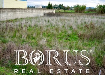 Foto 2 - Terreno agricolo Castel Volturno - foto 2