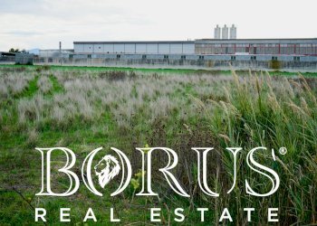 Foto 5 - Terreno agricolo Castel Volturno - foto 5