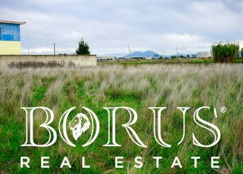 Foto 12 - Terreno agricolo Castel Volturno - foto 12